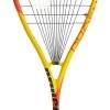 Prince Phoenix Elite 700 Squash Racquet 1 Prince Phoenix Elite 700 Squash Racquet -Sports General Store prince phoenix elite 700 squash racquet 68524 61552.1698772310