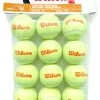 Wilson Starter Orange Tennis Balls Dozen 1 Wilson Starter Orange Tennis Balls Dozen -Sports General Store wilson starter orange balls dozen 40267 83813.1698769438