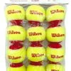 Wilson Starter Red Tennis Balls Dozen 2 Wilson Starter Red Tennis Balls Dozen -Sports General Store wilson starter red tennis balls dozen 17281 09835.1698769436